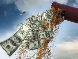 La cosecha gruesa podría aportar cerca de u$s12.000 millones entre abril y junio. La cosecha gruesa podría aportar cerca de u$s12.000 millones entre abril y junio.