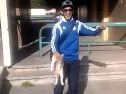 arrojo un gato contra la pared y subio el video a internet: fue detenido 24 horas despues arrojo un gato contra la pared y subio el video a internet: fue detenido 24 horas despues