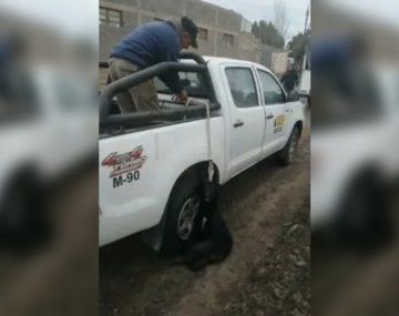 Video sensible: llevaban colgada de una camioneta a una perra y casi la matan