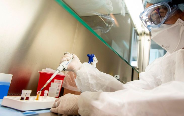 Carrera por la vacuna contra el coronavirus: EE.UU. cree que podría estar a fin de año