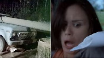 de pelicula: un cano atraveso de punta a punta su camioneta y se salvo de milagro de pelicula: un cano atraveso de punta a punta su camioneta y se salvo de milagro