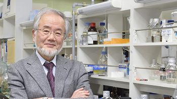 El ganador del Nobel, Yoshinori Ohsumi El ganador del Nobel, Yoshinori Ohsumi
