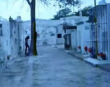 VIDEO: Terror en un cementerio por un fantasma que desaparece detrás de un árbol