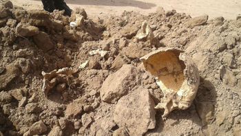 Estos son los huesos que encontraron en Metán Estos son los huesos que encontraron en Metán