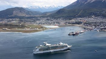 alarma en tierra del fuego por una invasion de avispas carnivoras alarma en tierra del fuego por una invasion de avispas carnivoras