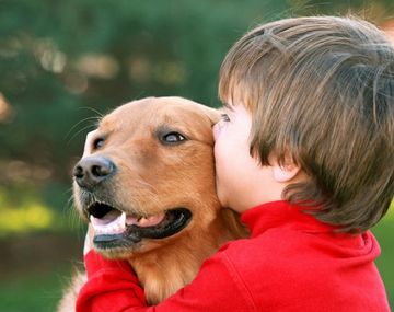 ¿Qué precauciones hay que tomar con los perros cuando hay chicos en casa?