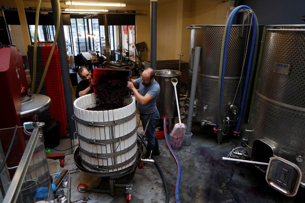 La producción de vinos en París de Vignerons Parisiens