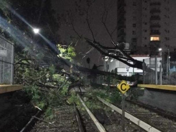 El ramal Tigre del Mitre está interrumpido por árboles sobre vías