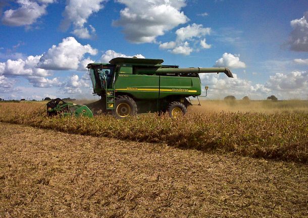 Denuncian que el fisco pierde u$s70 millones diarios por exportaciones de granos por inacción del Ministerio de Agricultura