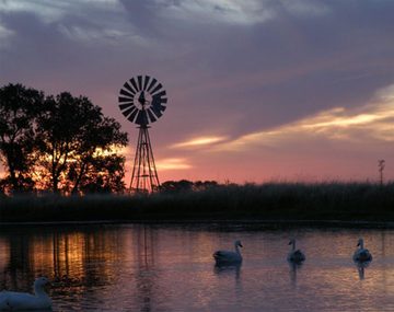 Escapadas: la playa de arena blanca a una hora y media de CABA