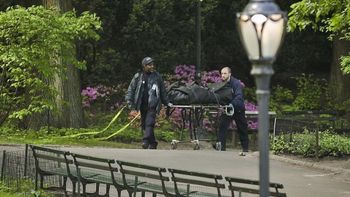 Hallaron dos cuerpos dentro del Central Park de Nueva York Hallaron dos cuerpos dentro del Central Park de Nueva York
