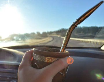 Los detalles sobre las infracciones por tomar mate manejando.