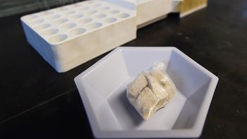 Muerte gris, un cóctel 10 mil veces más letal que la heroína Muerte gris, un cóctel 10 mil veces más letal que la heroína