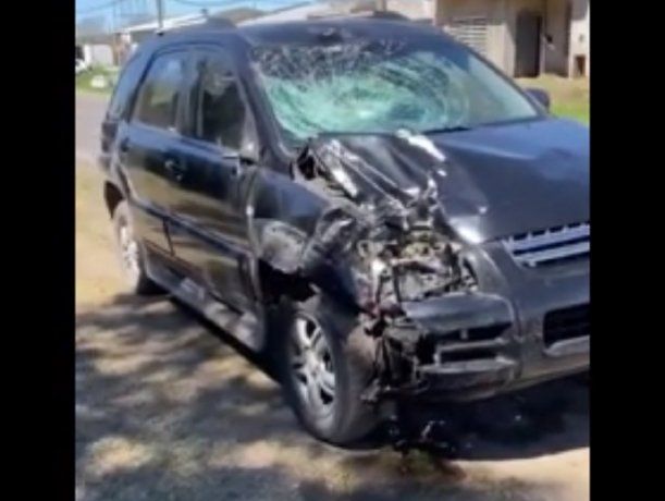 Pergamino: un conocido chef salvó su vida luego de chocar con un caballo en la ruta