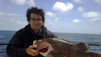 la fiscal fein imputo a lagomarsino por prestarle el arma a nisman la fiscal fein imputo a lagomarsino por prestarle el arma a nisman