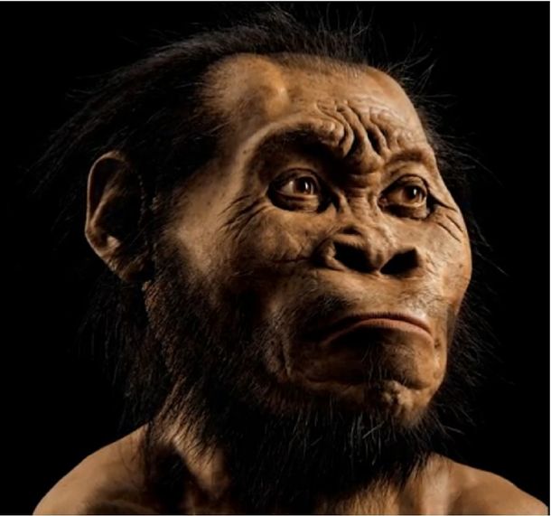 Descubren un nuevo antepasado del hombre en Sudáfrica: el Homo naledi