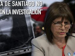 Las frases más polémicas de Bullrich en el Senado
