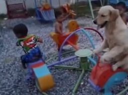 La verdadera vuelta al perro es esta mascota 