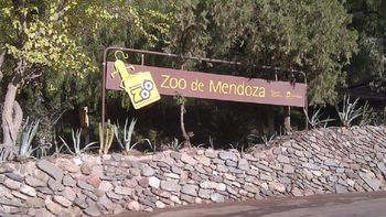 tres ciervos murieron en el zoo de mendoza y ya son 14 los animales fallecidos tres ciervos murieron en el zoo de mendoza y ya son 14 los animales fallecidos