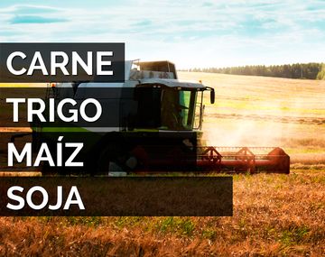 Así quedó el nuevo esquema de retenciones dispuesto por Macri