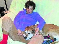 al perro de la enfermera espanola lo mataron porque no habia donde meterlo al perro de la enfermera espanola lo mataron porque no habia donde meterlo