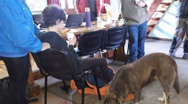 Tiene 13 años, se perdió en un bosque y logró sobrevivir con temperaturas bajo cero