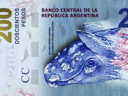 el insolito error en la ballena del nuevo billete de 200 pesos el insolito error en la ballena del nuevo billete de 200 pesos