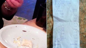 pidio una pizza y encontro una cucaracha muerta dentro de su fugazza pidio una pizza y encontro una cucaracha muerta dentro de su fugazza