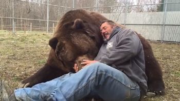abrazo del oso: este cuidador casi se lleva un recuerdo de su amigo peludo abrazo del oso: este cuidador casi se lleva un recuerdo de su amigo peludo