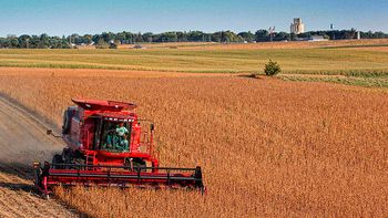 ee.uu. recorto la prevision de cosecha de soja argentina ee.uu. recorto la prevision de cosecha de soja argentina