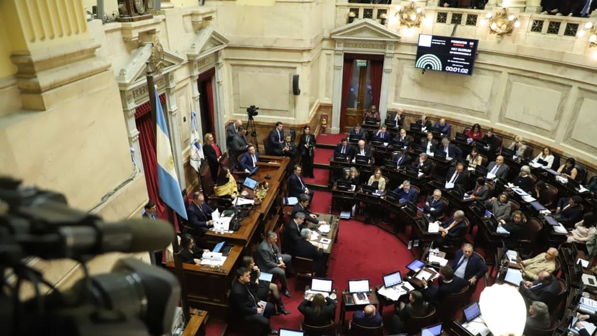 El Senado debate EN VIVO: emergencia en el Hospital Garrahan y financiamiento universitario