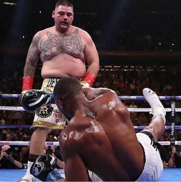 Boxeo: el KO de Andy Ruiz a Anthony Joshua