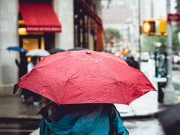 Revelan por qué se produce el olor a lluvia   