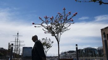 el invierno se despide con temperaturas agradables el invierno se despide con temperaturas agradables