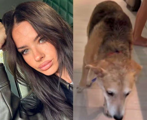 Yanina Latorre asegura que uno de los perros de la China Suárez acaba de morir de forma trágica: Qué raro...