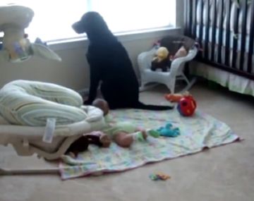 Este perro sí que sabe cómo hacer reír a un bebé