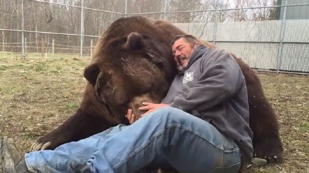 Abrazo del oso: este cuidador casi se lleva un recuerdo de su amigo peludo