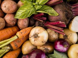 Los precios medios minoristas de las grandes cadenas de supermercados son hasta un 15,5% superior. Los precios medios minoristas de las grandes cadenas de supermercados son hasta un 15,5% superior.