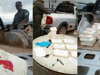 El símbolo del toro rojo representa pureza y alta calidad en la sustancia