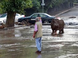 @heraldoes @heraldoes