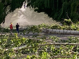 Desastre en Mendoza por el viento Zonda