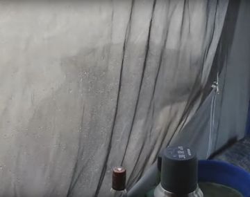 Se despertaron con dos leones fuera de la carpa