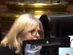 El discurso discriminatorio de una legisladora macrista que habló de peste rosa