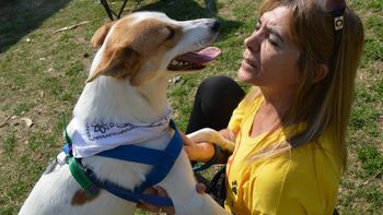 refugios de animales: cuando el amor derrota a la indiferencia y al maltrato refugios de animales: cuando el amor derrota a la indiferencia y al maltrato