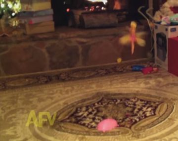 Un hada madrina prendida fuego