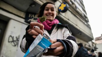 Más del 51% de los uruguayos que consumen cannabis lo hacen de forma legal. Más del 51% de los uruguayos que consumen cannabis lo hacen de forma legal.