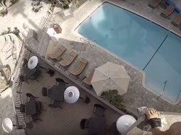 Se convirtió en viral por tirarse de techos de desconocidos a piletas Se convirtió en viral por tirarse de techos de desconocidos a piletas