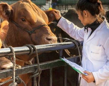 Caputo anunció la liberación de importaciones de productos veterinarios