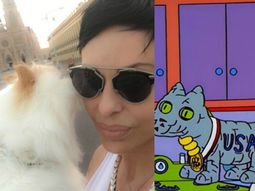 los memes por el gato embalsamado de daniela cardone los memes por el gato embalsamado de daniela cardone