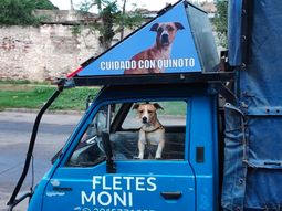 Fletero rechazó un trabajo porque no lo dejaban llevar a su compañero y la tierna historia se volvió viral